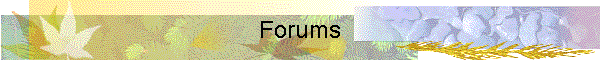 Forums