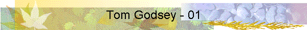 Tom Godsey - 01
